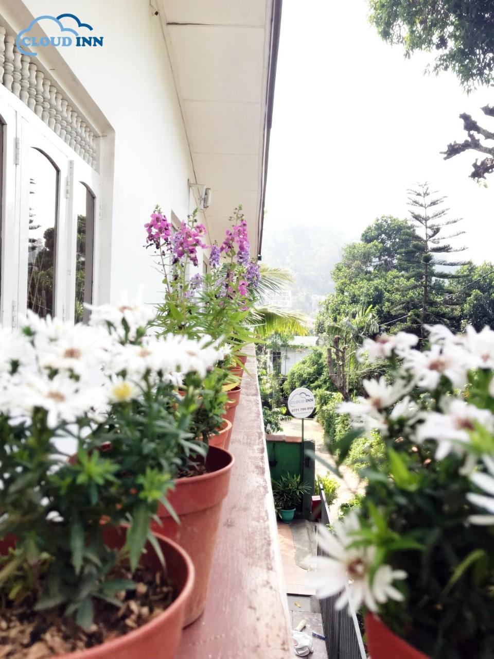 Cloud Inn Kandy Homestay Εξωτερικό φωτογραφία